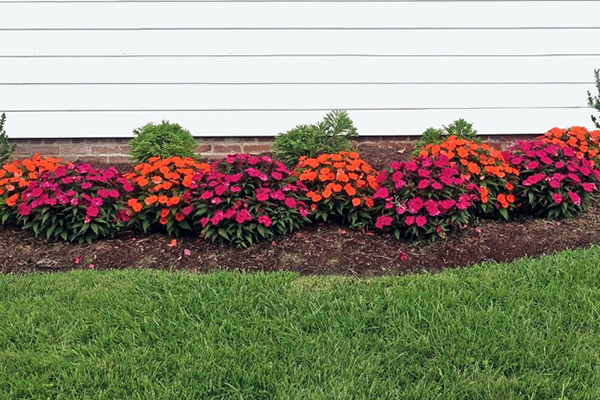Flower Beds Flower Beds
